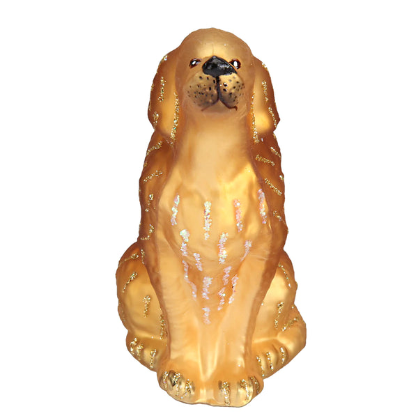 Sitting Golden