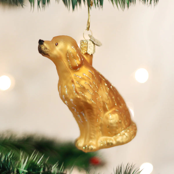 Sitting Golden