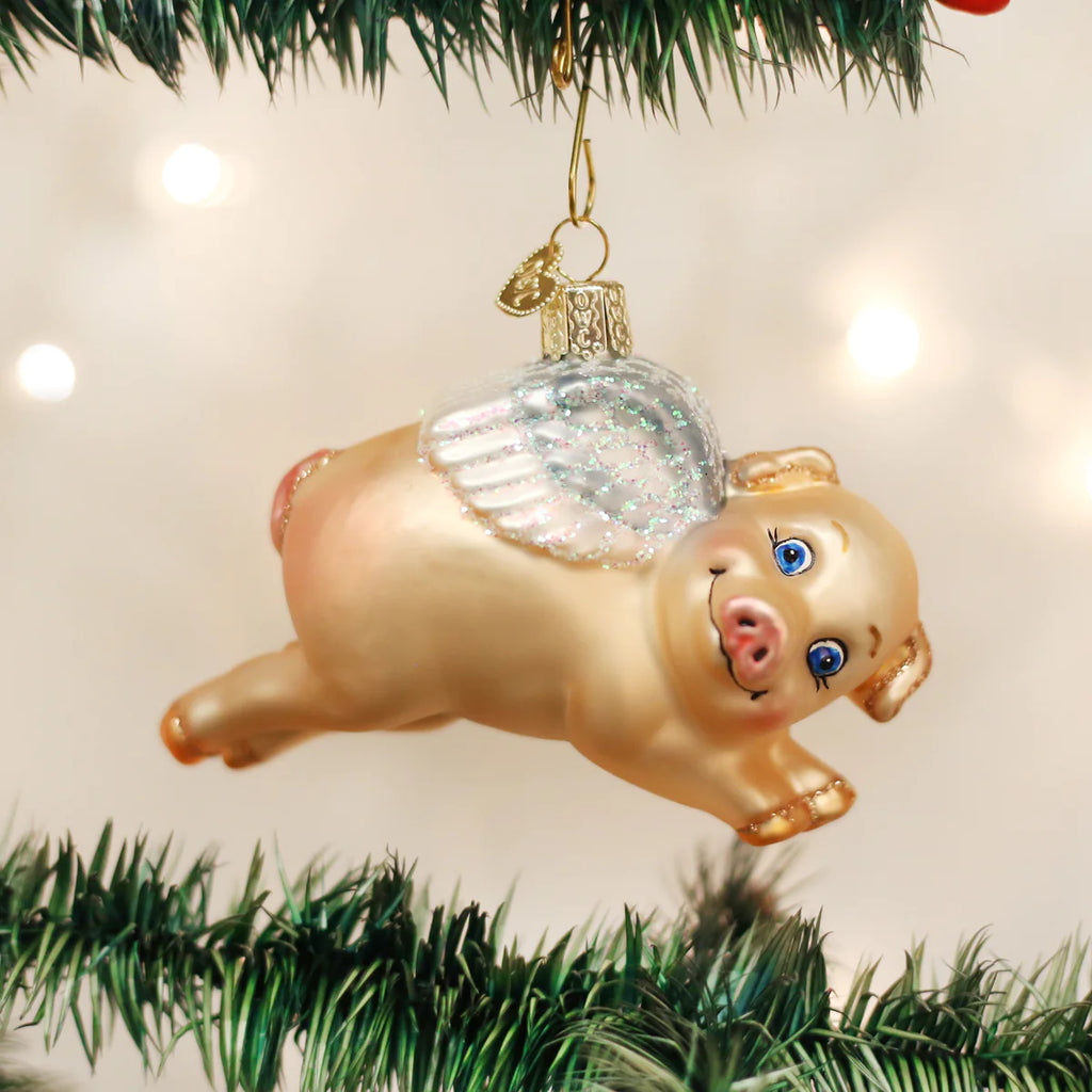 OWC- Flying Pig