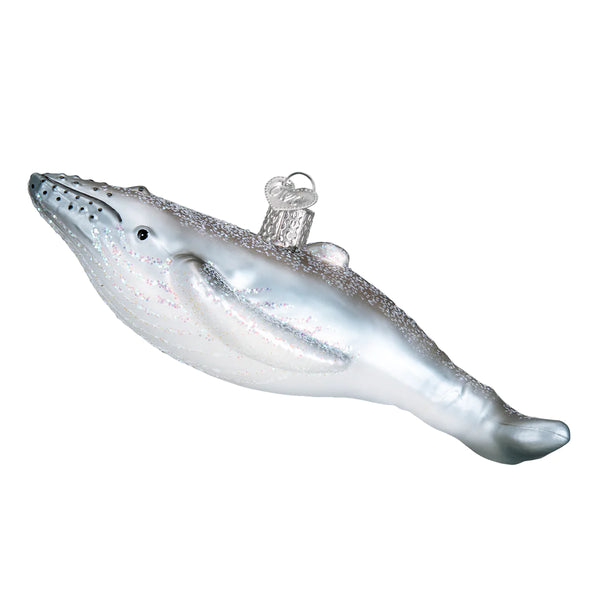 OWC - Humpback Whale