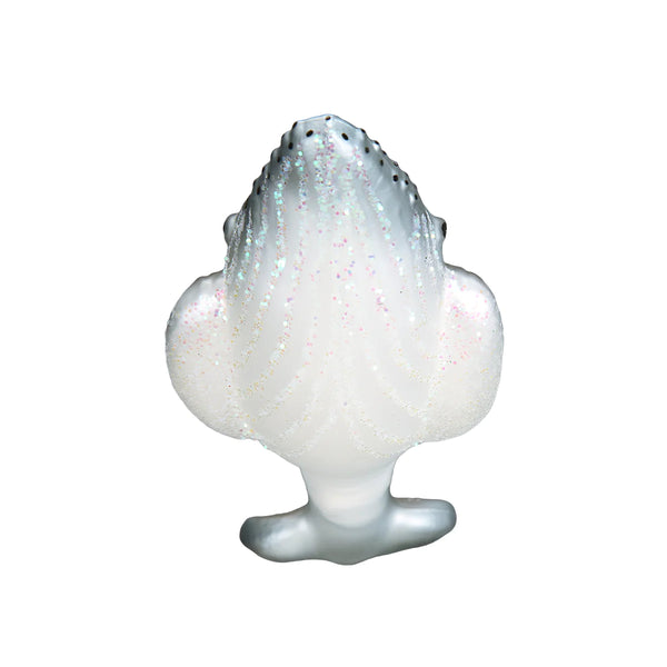 OWC - Humpback Whale