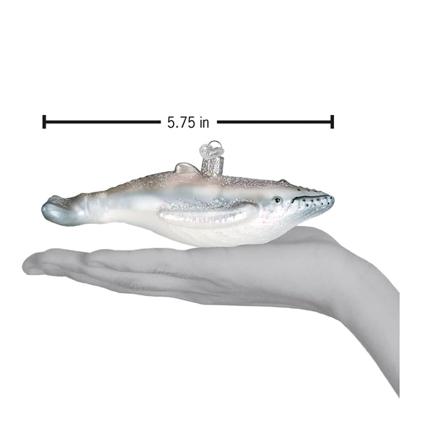 OWC - Humpback Whale