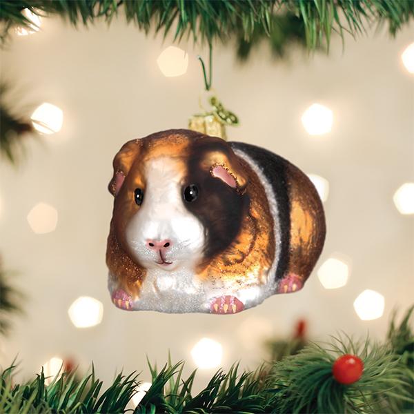 OWC-Guinea Pig
