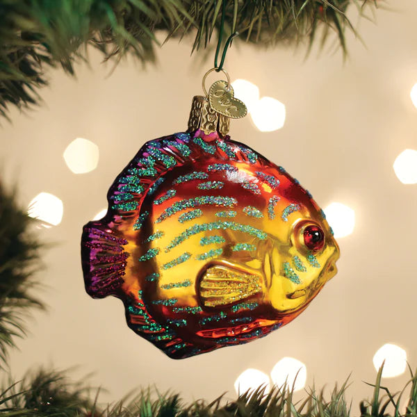 OWC - Discus Fish