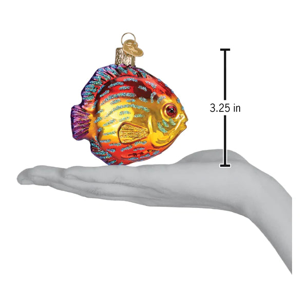 OWC - Discus Fish