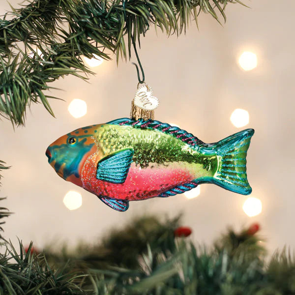OWC-Parrotfish