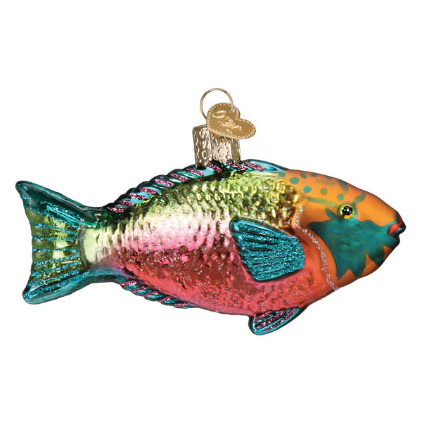 OWC-Parrotfish
