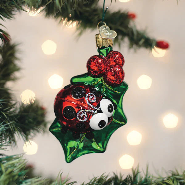OWC-Holly Ladybug