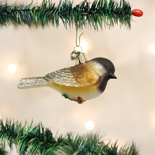 OWC-Black-Capped Chickadee