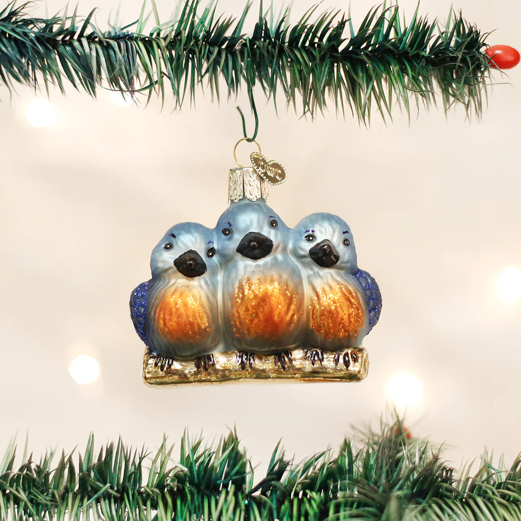 OWC-Feathered Friends