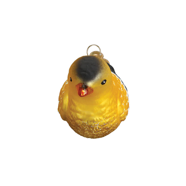 OWC-American Goldfinch