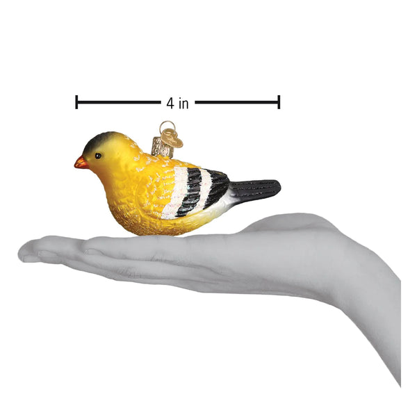 OWC-American Goldfinch