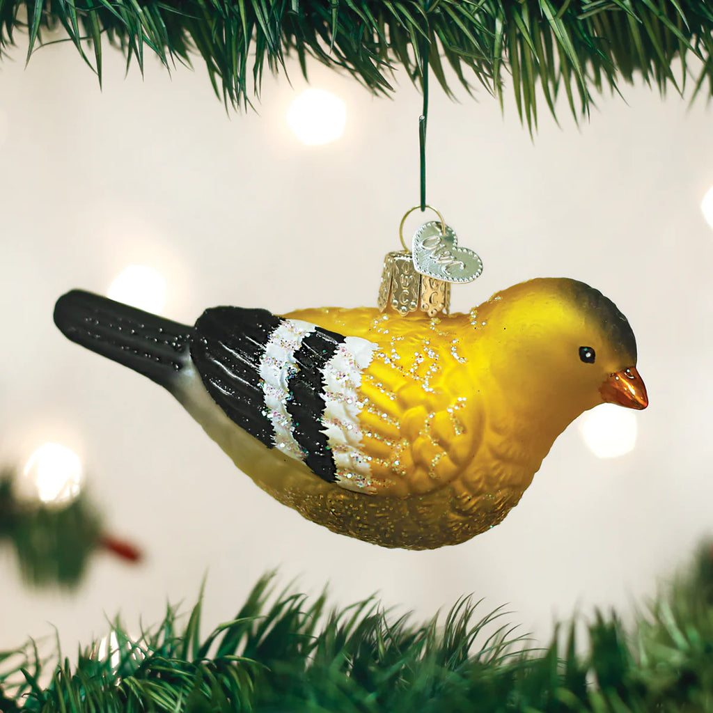 OWC-American Goldfinch