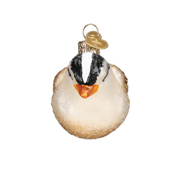 OWC-White Crowned Sparrow