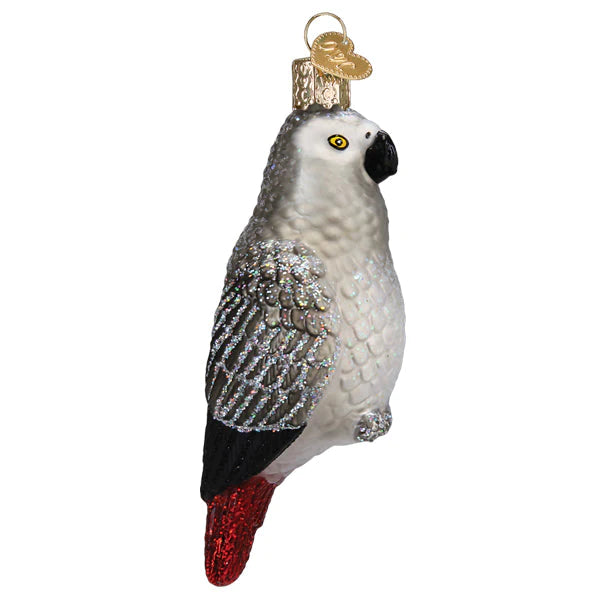 OWC-African Grey Parrot