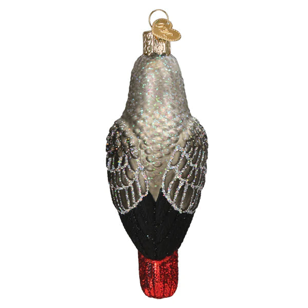 OWC-African Grey Parrot