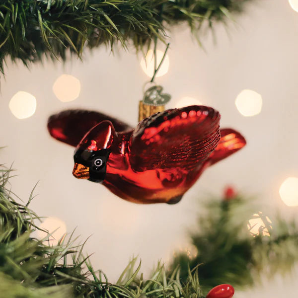 OWC Cardinal in Flight