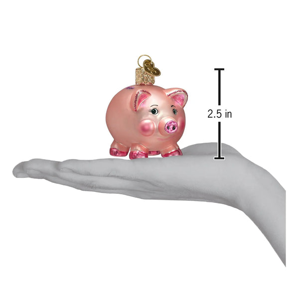 OWC Piggy Bank