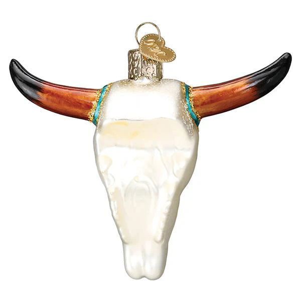 Southwestern Steer Skull