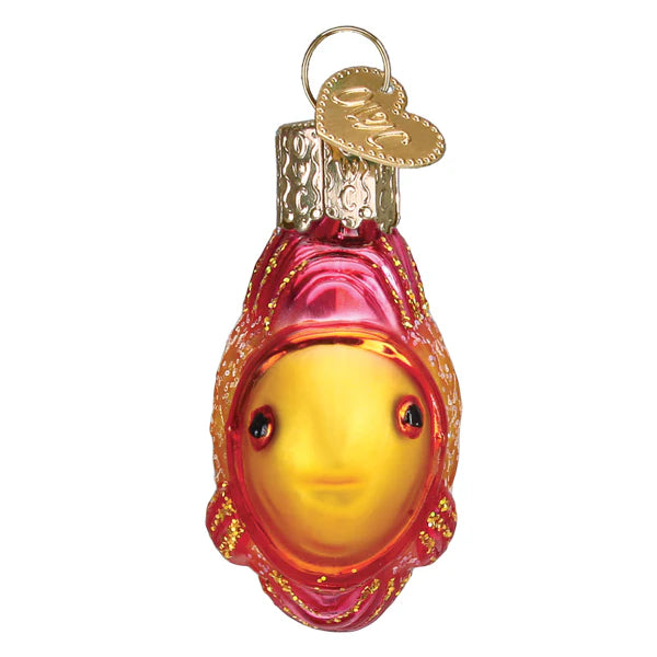 OWC Mini Tropical Fish