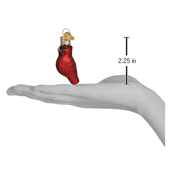 OWC-Mini Cardinal