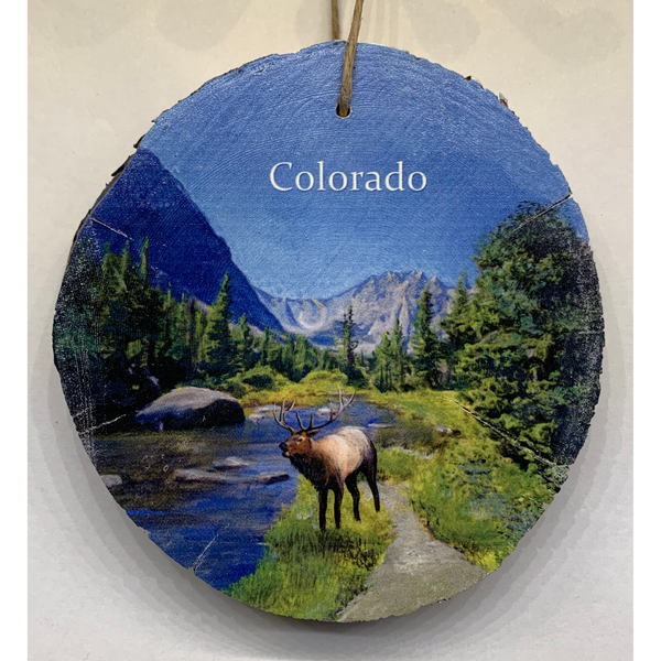 Elk by River Wooden Colorado