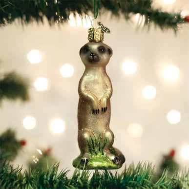 OWC - Meerkat