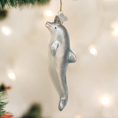OWC - Playful Dolphin