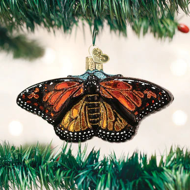 OWC-Monarch Butterfly