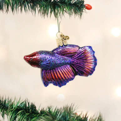 OWC - Betta Fish