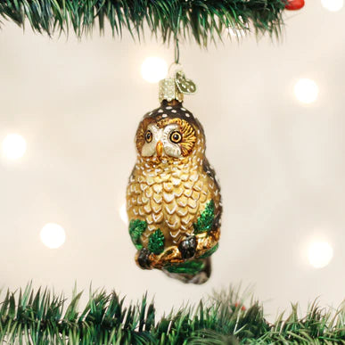 OWC-Spotted Owl