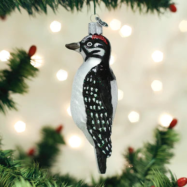 OWC-Hairy Woodpecker