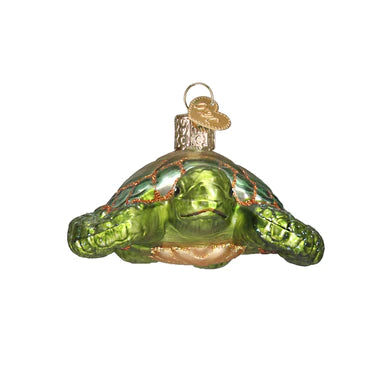 OWC - Green Sea Turtle