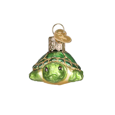 OWC - Small Turtle