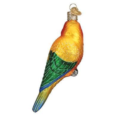 OWC-Sun Conure