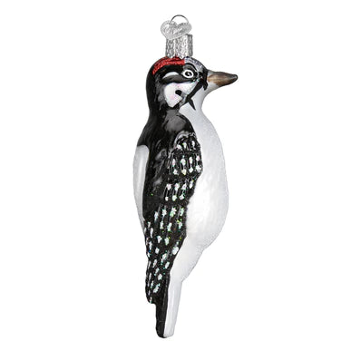 OWC-Hairy Woodpecker