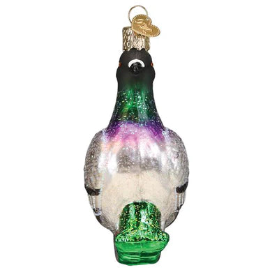 OWC-Pigeon