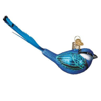 OWC-Fairy Wren