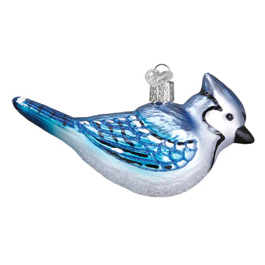 OWC-Bright Blue Jay