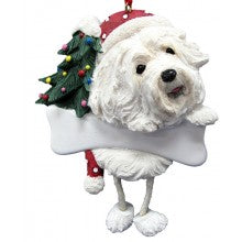Havanese