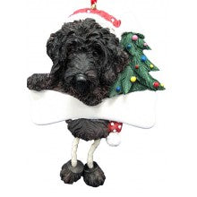Labradoodle Black