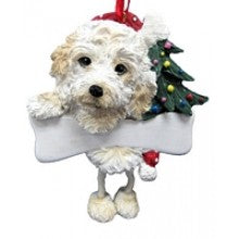 Cockapoo