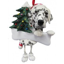 Dalmation