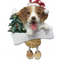 Brittany Spaniel