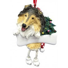 Collie