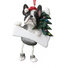 Boston Terrier