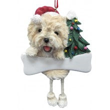 Cairn Terrier