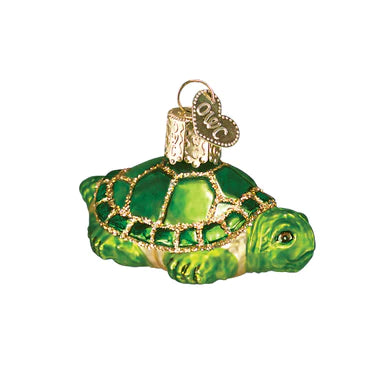 OWC - Small Turtle