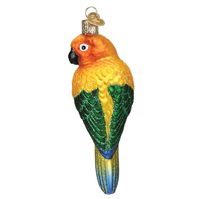 OWC-Sun Conure