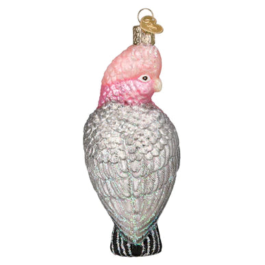 OWC- Rose-Breasted Cockatoo